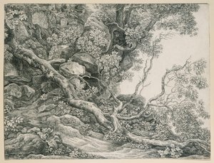  de Johann Christian Reinhart