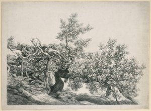 Estudio de árbol. Tronco caído con raíces expuestas de Johann Christian Reinhart