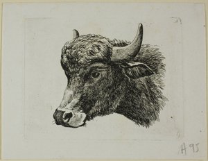 Cabeza de búfalo mirando a la izquierda, de Die Zweite Thierfolge de Johann Christian Reinhart