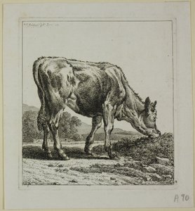 Ternero alimentándose, de Die Zweite Thierfolge de Johann Christian Reinhart