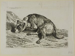 Perro acostado, de Die Zweite Thierfolge de Johann Christian Reinhart