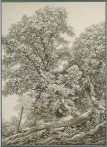  de Johann Christian Reinhart
