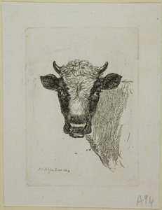 Cabeza de un Toro Joven, de Die Zweite Thierfolge