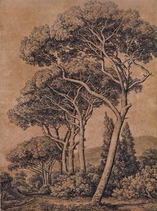 J C Reinhart Pinos paraguas 1791 de Johann Christian Reinhart