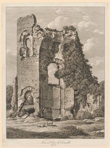 Paisaje - Cerca del circo de Caracalla de Johann Christian Reinhart