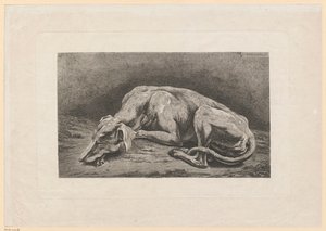 Galgo dormido de Johann Christian Reinhart