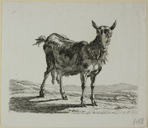 Cabra de pie, de Die Zweite Thierfolge de Johann Christian Reinhart