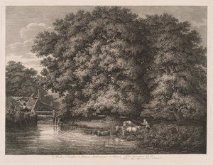 El molino en los grandes robles de Johann Christian Reinhart