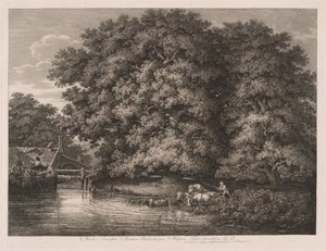 El molino de Great Oaks