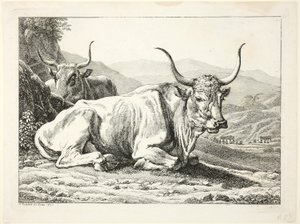 Dos toros romanos descansando, de Die Zwiete Thierfolge de Johann Christian Reinhart
