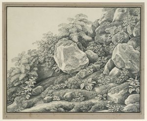 Estudio de primer plano: rocas, matorrales, helechos y plantas de follaje de Johann Christian Reinhart
