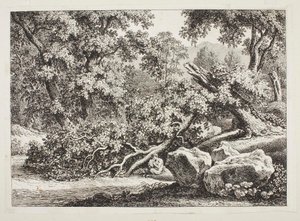  de Johann Christian Reinhart