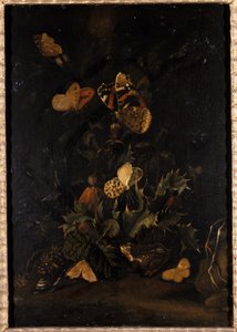 Flores con mariposas y sapo de Johann Christian Thomas Winck