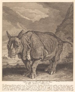 Rinoceronte de Johann Elias Ridinger