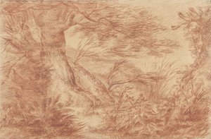 Plantas y hierbas cerca de viejos troncos de sauce de Johann Elias Ridinger