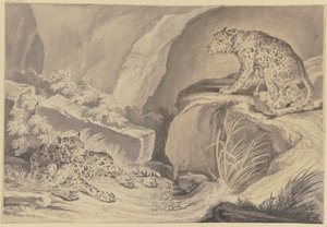 de Johann Elias Ridinger