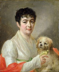 Retrato de una mujer desconocida, 1809