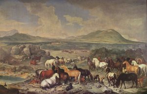 El Estudio Imperial con Caballos Lipizzanos