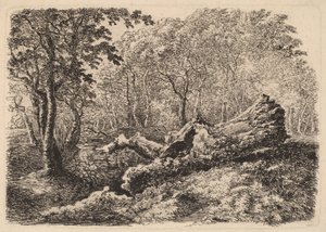 Tronco de Árbol Desmoronado de Johann Georg von Dillis