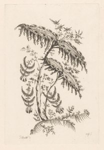 Hojas con forma de cuerno Fleures Baroque (título de la serie)