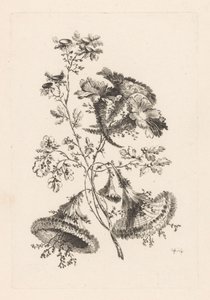 Flores Triangulares Fleures Baroque (título de la serie)