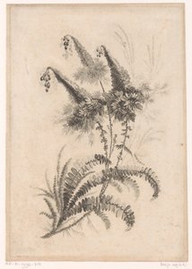 Pistas de juego
Colección de nuevas flores del gusto; para la fábrica de tejidos persa (título de la serie) de Johann Heinrich  Hess