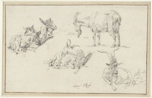 Estudios de un gamo de Johann Heinrich Roos (possibly)