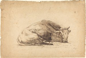 Un toro durmiendo