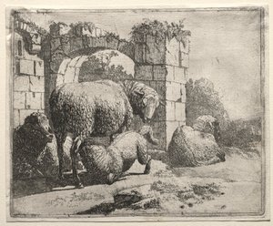 Ovejas cerca de las ruinas de un arco, 1665 de Johann Heinrich Roos