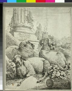  de Johann Heinrich Roos