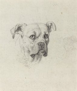 Un Boxeador de Johann Heinrich Wilhelm Tischbein