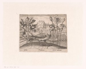 Serie de Estampas con Flores y Animales en un Paisaje Paisaje con robles, faisanes y crisantemos Paisajes con animales, plantas y flores (título de serie) de Johann Hogenberg