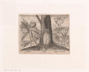 Serie de Estampas con Flores y Animales en un Paisaje Paisaje con níspero, lirio y búho Paisajes con animales, plantas y flores (título de serie) de Johann Hogenberg