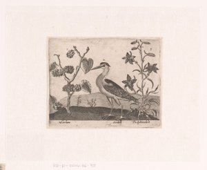 Serie de Estampas con Flores y Animales en un Paisaje Paisaje con garzas y espuelas de caballero Paisajes con animales, plantas y flores (título de serie) de Johann Hogenberg