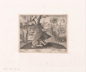 Serie de Estampas con Flores y Animales en un Paisaje Paisaje con lobo y plantas. Paisajes con animales, plantas y flores (título de serie)