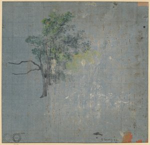 Tree Studies (verso) de Johann Jacob Dorner