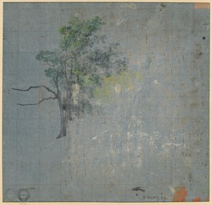 Estudios de árboles, primera mitad del siglo XIX de Johann Jacob Dorner