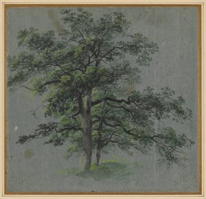 Two Trees (recto)
