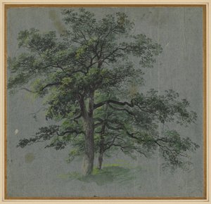 Dos Árboles recto Estudios de Árboles verso, primera mitad de 1800