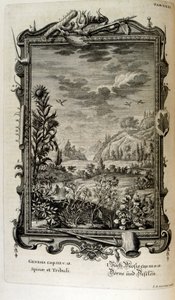 Grabado en cobre de "Physica Sacra" del erudito suizo Johann Jakob Scheuchzer de Johann Jakob Scheuchzer