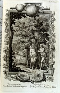 Grabado en cobre de "Physica Sacra" del erudito suizo Johann Jakob Scheuchzer
