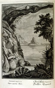 Grabado en cobre de "Physica Sacra" del erudito suizo Johann Jakob Scheuchzer de Johann Jakob Scheuchzer