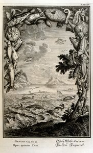 Grabado en cobre de "Physica Sacra" del erudito suizo Johann Jakob Scheuchzer de Johann Jakob Scheuchzer