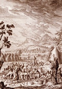 Los hebreos luchan contra una plaga de langostas de Johann Jakob Scheuchzer