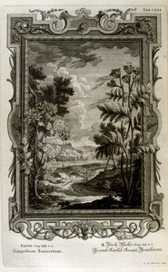Ilustración de Johann Jakob Scheuchzer