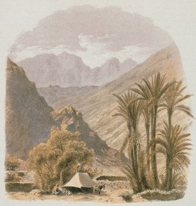 Sinaí. Aguafuerte de Bernatz et alii - Steinkopk J.F. Editore de Johann Martin Bernatz