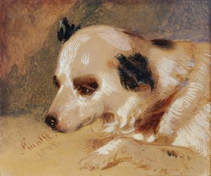cabeza de perro de Johann Matthias Ranftl
