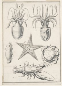 Trabajo del Quinto Día de Johann Melchior Füssli