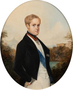 Retrato del emperador Pedro II de Brasil 1825-1891, 1846 de Johann Moritz Rugendas