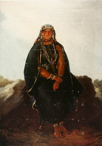 español:  La araucana de Johann Moritz Rugendas